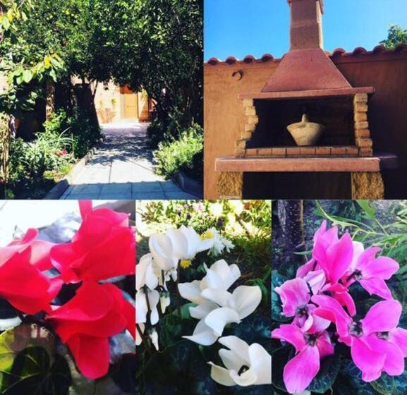 Bed and Breakfast Il Mandarino Decimomannu Exterior foto